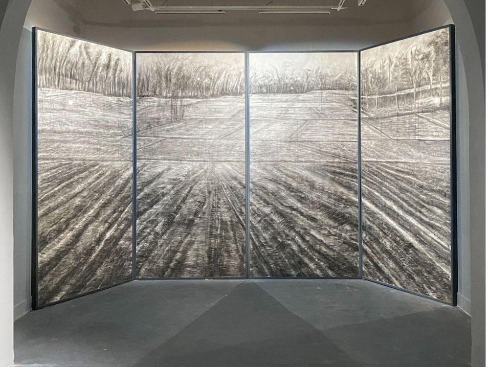 Field of Silence, 2025 